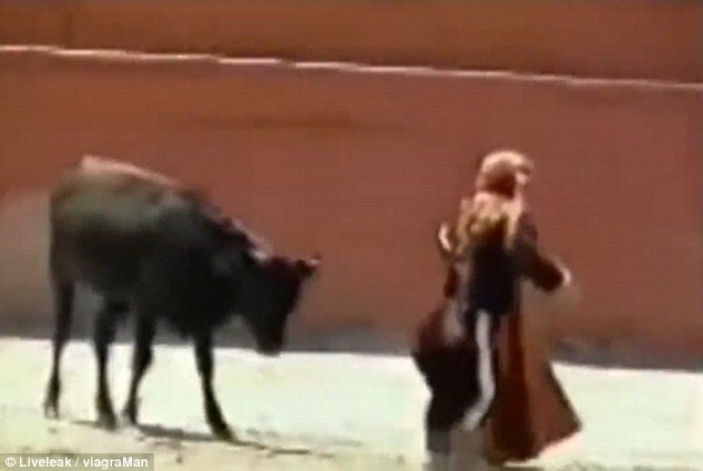 Ταύρος ξεσπά πάνω σε γυναίκα ταυρομάχο (βίντεο)
